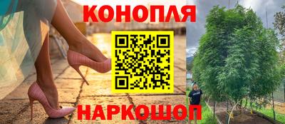 PSILOCYBIN Мариинск