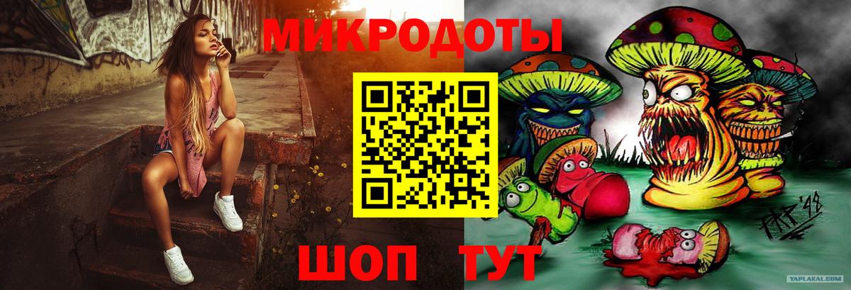 Псилоцибиновые грибы Psilocybe Берёзовский